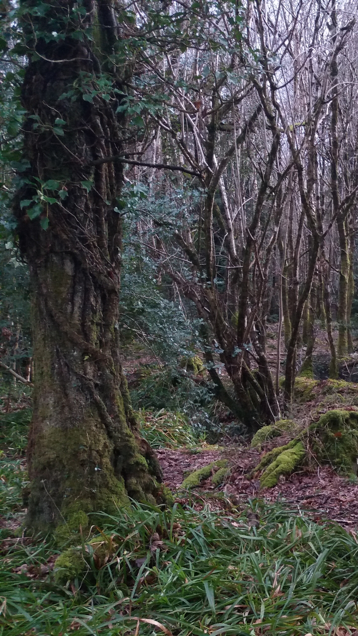 Screenshot_20180407-225223